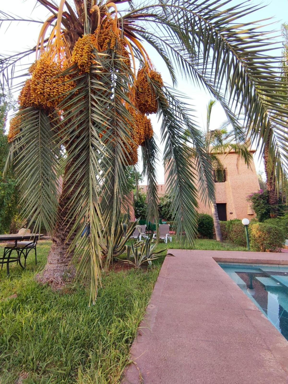 Riad Sheherazade Marrakech Маракеш Екстериор снимка
