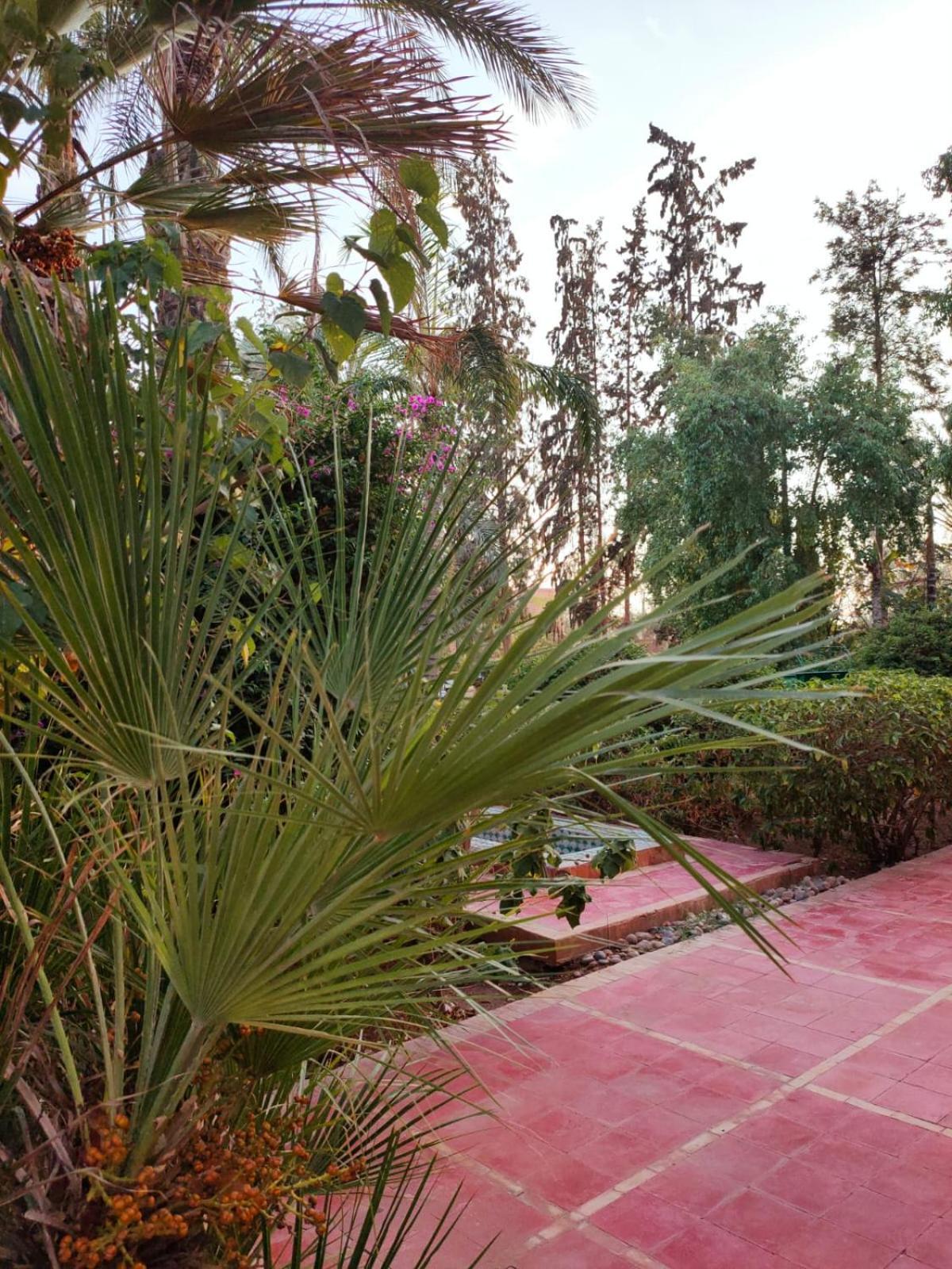 Riad Sheherazade Marrakech Маракеш Екстериор снимка
