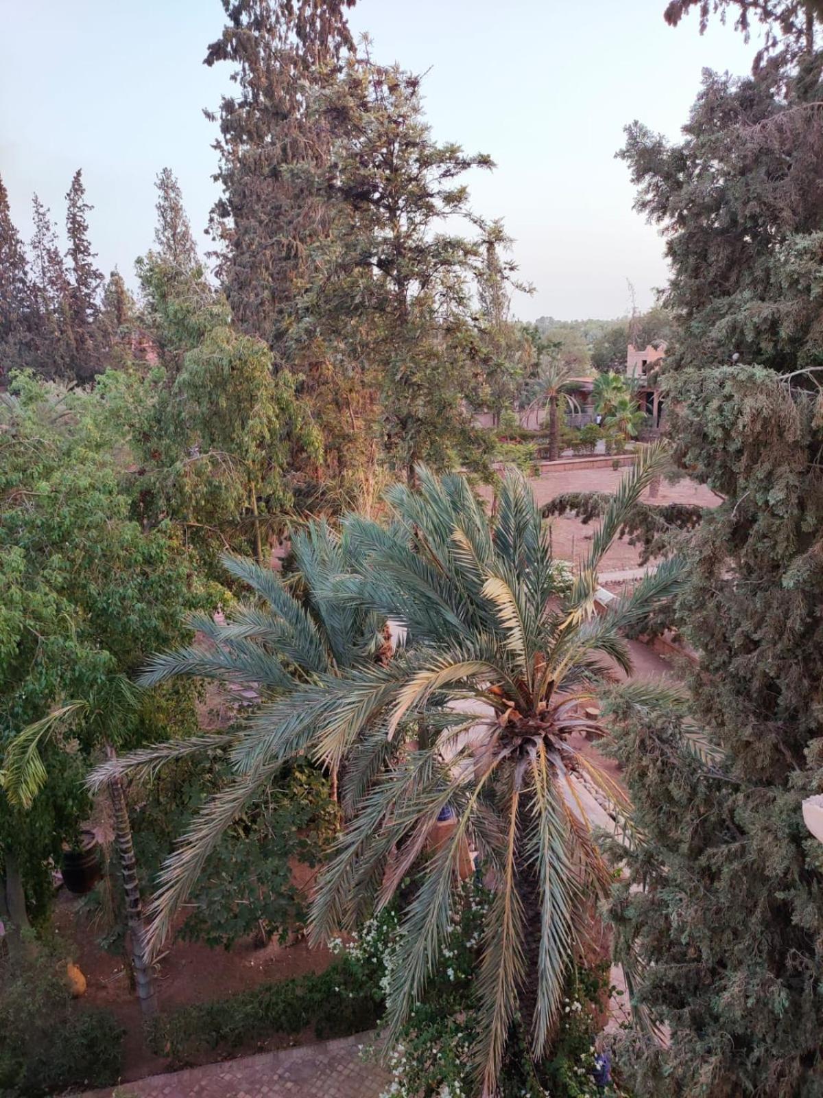 Riad Sheherazade Marrakech Маракеш Екстериор снимка